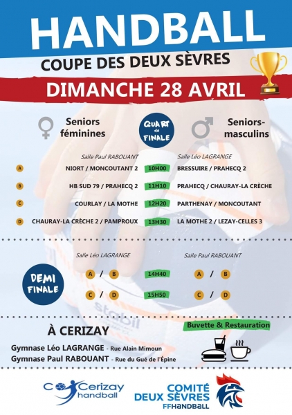 Affiche_coupe_deux_svres_handball