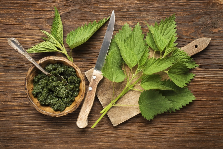 pesto-vert-cuisine-recette-ortie-feuilles